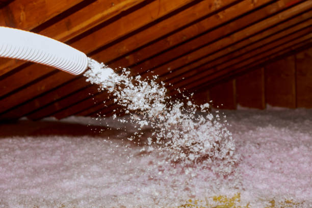 Best Spray Foam Insulation in Geneva, FL