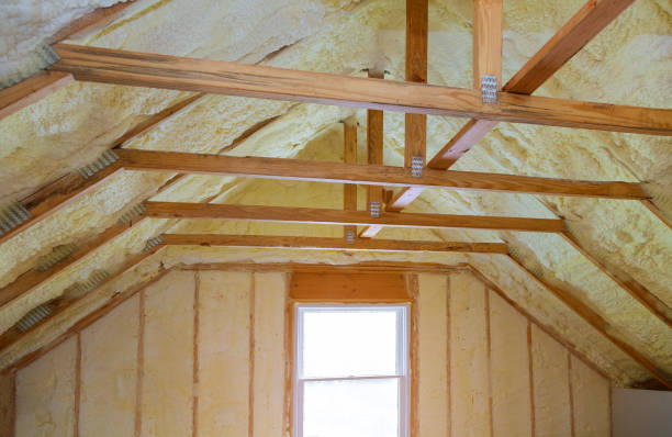 Best Eco-Friendly Insulation in Geneva, FL