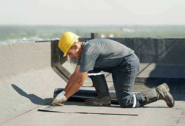 Best Geographic-Specific Insulation Services in Geneva, FL